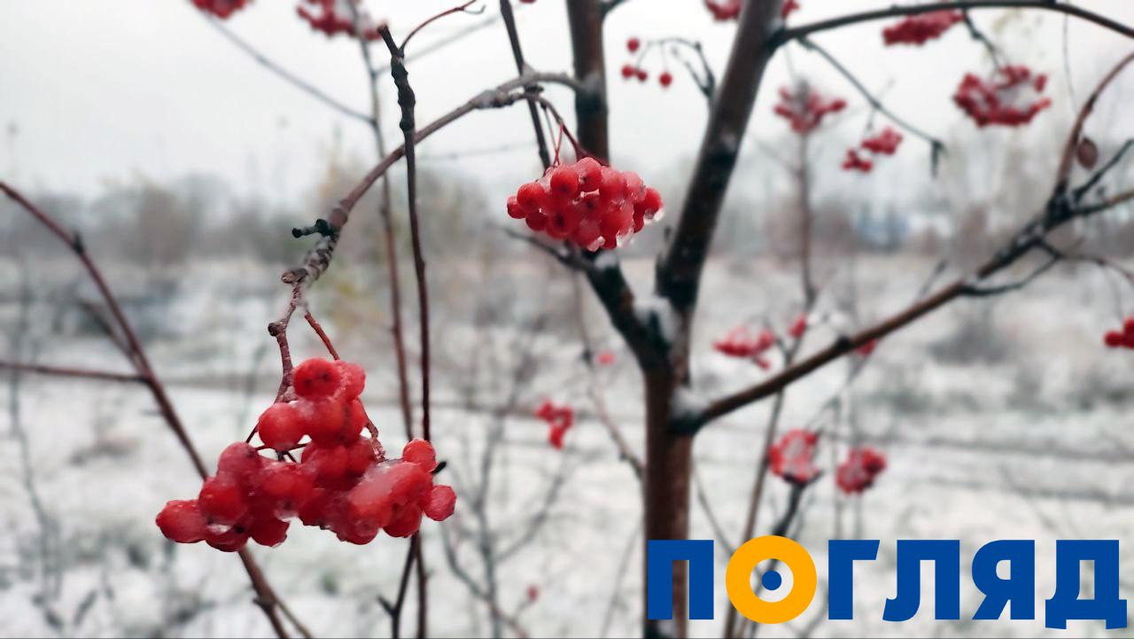 На Київщині випав перший сніг: ФОТО - зображення